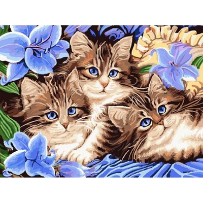 Norimpex - Puzzle Diamant painting: Three kittens in flowers 30x40cm - 1 - 39 piese