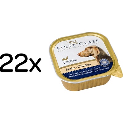 First Class Adult Dog drůbeží 22 x 300 g