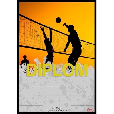 DV04f Diplom volejbal