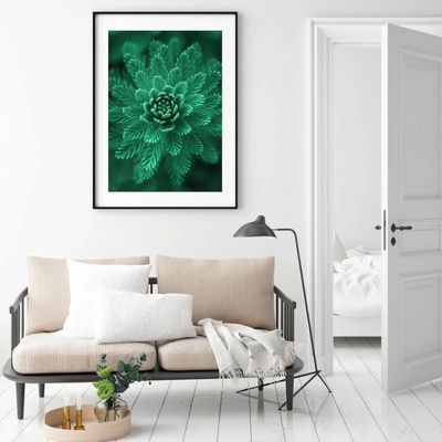 Plakát - Conifer Green, velikost A3