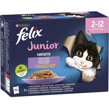 Image 1 of FELIX Fantastic Junior в желе 12x85g