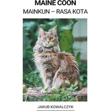 Maine Coon Mainkun - Rasa Kota