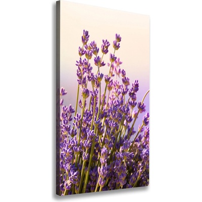 Vertikálny moderný obraz canvas na ráme Levanduľa 50x100 cm