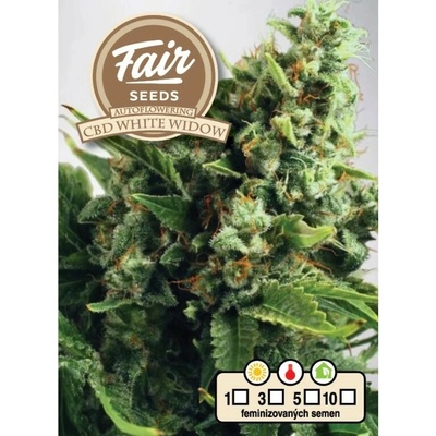 Fair Seeds Auto CBD White Widow semienka neobsahujú THC 3 ks