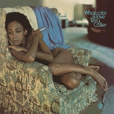 Terry Callier - What Color is Love (Audiophile Vinyl) (180 g) (LP) (0600753605189)