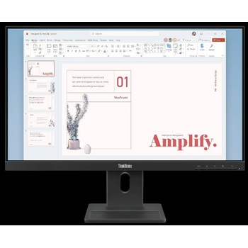 Lenovo ThinkVision E24-40