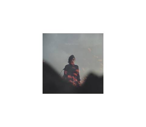 Tiny Vipers - Life On Earth CD