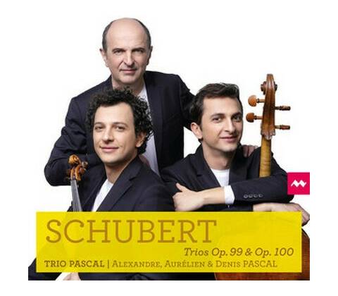 Denis Pascal - Schubert Vol. 4 CD
