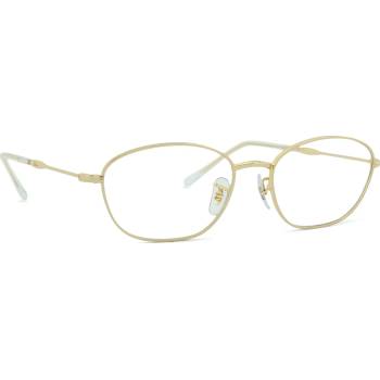 Ray-Ban 0RX3749V 2500 55