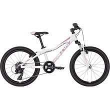Kellys Lumi 50 2025