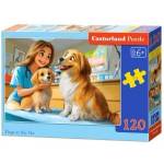 Castorland Dogs at the Vet 120-Piece Puzzle B-13616-1