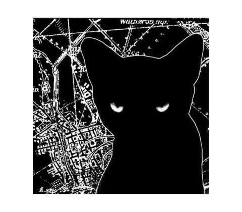 Wilderness: III LP