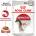 Хапки в сос за котки Royal Canin Instinctive Gravy - 1.02кг