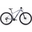 Cube Access WS Pro 2020