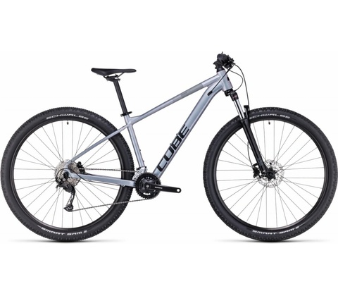 Cube Access WS Pro 2020