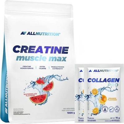 ALL NUTRITION Creatine Muscle Max 1000 g