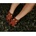 Donsje Бебешки кожени обувки Donsje Spark Classic Shoes Bear (1002008)