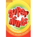 Super Minds Starter Workbook