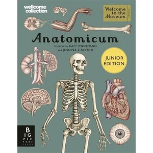 Anatomicum Junior (ISBN: 9781787416543)