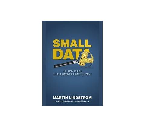 Small Data Lindstrom Martin