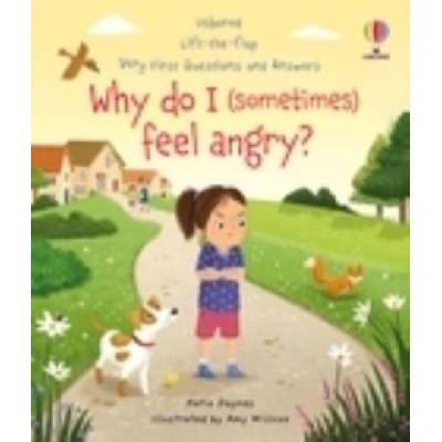 Why do I sometimes feel angry? - Katie Daynes, Amy Willcox ilustrátor