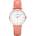 Cluse CL30045