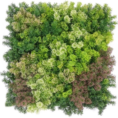 Moss coral mix, dielec 50 x 50 cm