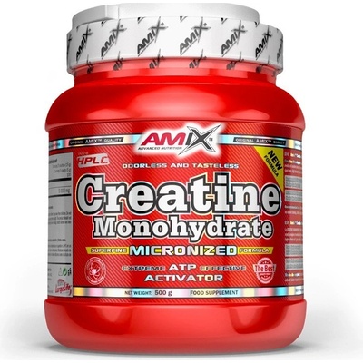 Amix Creatine monohydrate 300 g