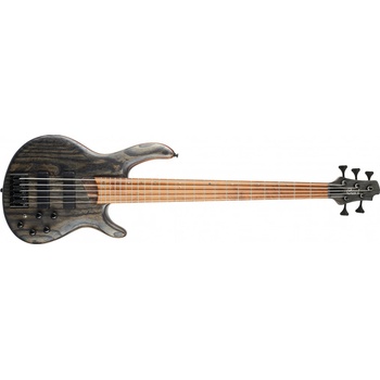 Cort B5 Element