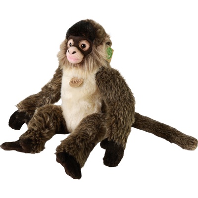 Rappa Плюшена играчка Rappa Еко приятели - Паякообразна маймуна, 30 cm (232150)