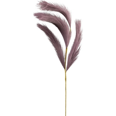 GASPER Pampová tráva 80 cm fialová