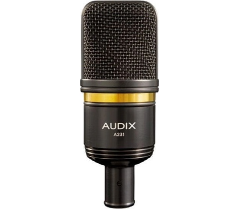 Audix A231