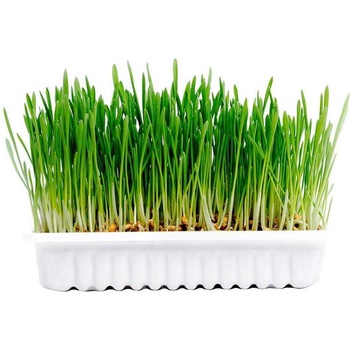 Duvo Plus Duvo Cat grass kit - Комплект за отглеждане на здрава котешка трева, 70 гр