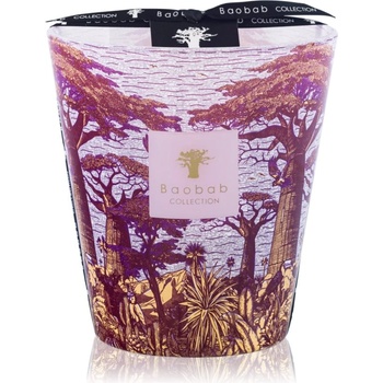 Baobab Collection Sacred Trees Massasso ароматна свещ 16 см