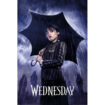 Pyramid International Plagát Wednesday - Downpour