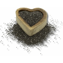 FITBOY Chia semienka 1000 g