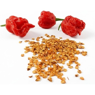 Carolina Reaper red semienka 10 ks