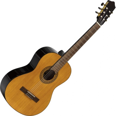 Stagg SCL60