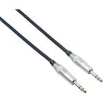 Bespeco XCS100 100 cm Директен - Директен Пач кабел (XCS100)