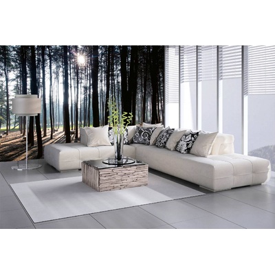 DIMEX ART Самозалепваща се флизелинова фототапета сутрешна сцена 375 x 250 см