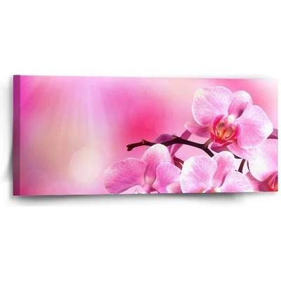 Sablio Obraz Květy orchideje - 110x50 cm