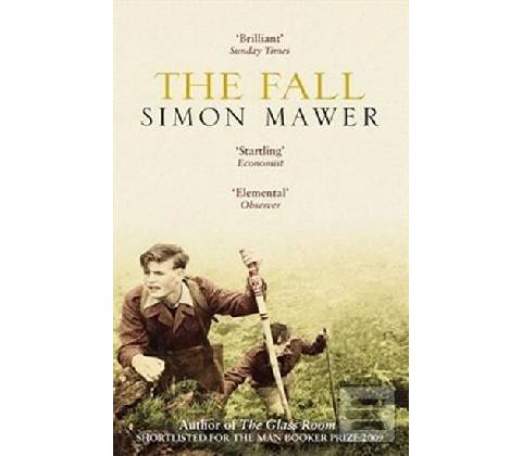 The Fall - Simon Mawer