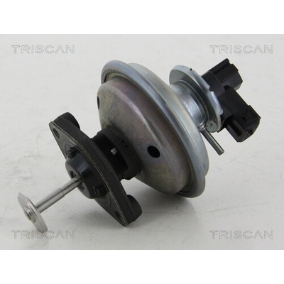 AGR - Ventil TRISCAN 8813 11002