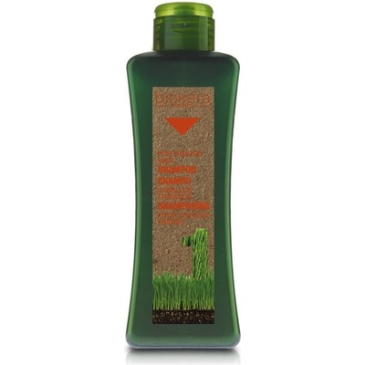 Salerm Biokera Shampoo pro poškozené vlasy 1000 ml