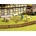 Noch H0 Plot 13080