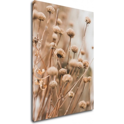 Impresi Obraz Skandinávský styl suchá tráva - 50 x 70 cm