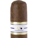 NUB 460 Cameroon