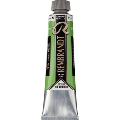 Rembrandt 1056142 Маслена боя Permanent Green Medium 40 ml 1 бр (01056142)