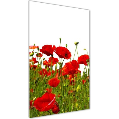 Vertikálny foto obraz sklo tvrdené Pole makov 50x100 cm