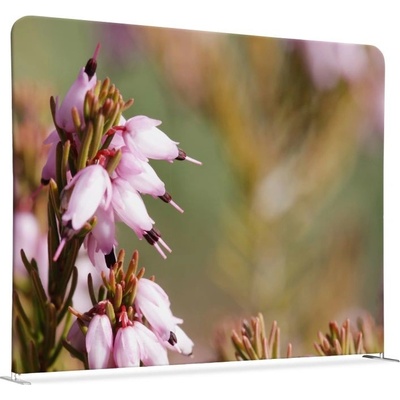 Jansen Display Oboustranný Růžové květy rostliny Erica 150 x 150 cm